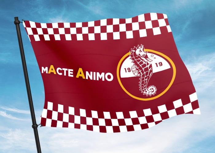 Gli inni della Salernitana: il calcio è amore e passione…